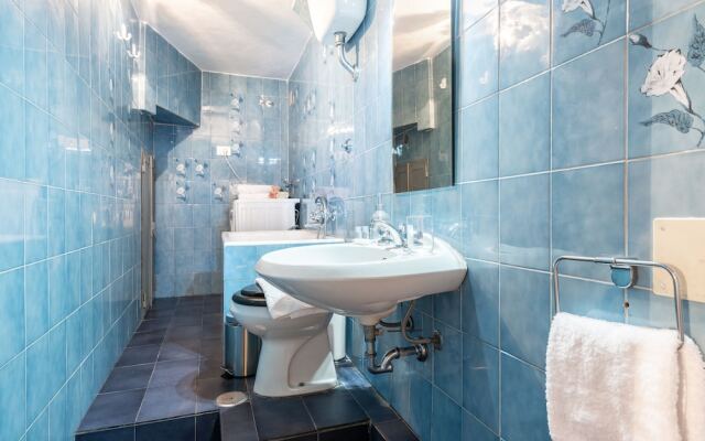 Santo Spirito Jungle