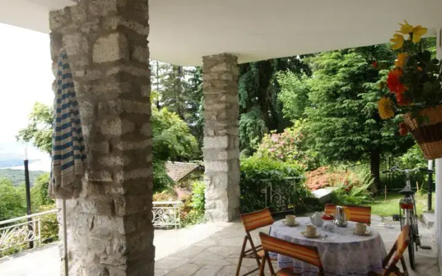 Fragola di bosco