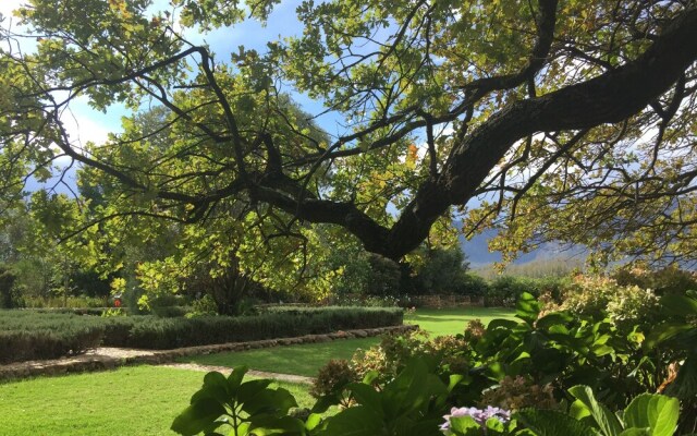 Palmiet Valley Estate