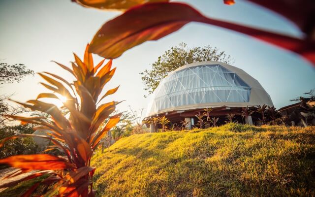 Alaya Yoga & Surf & Retreat