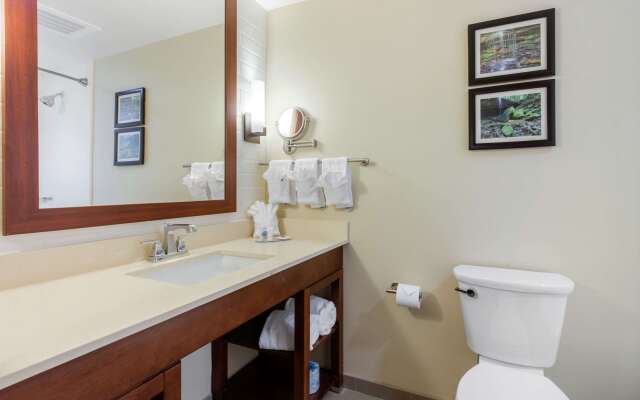 Comfort Inn & Suites at CrossPlex Village