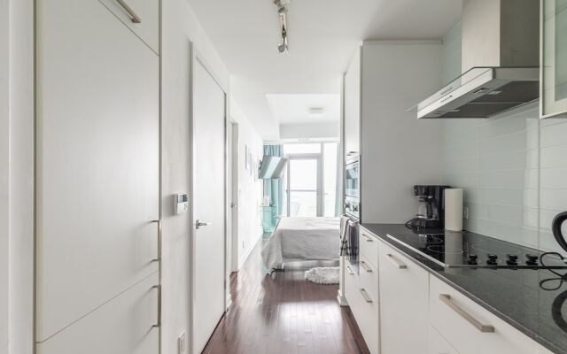 Beautiful Downtown Condos