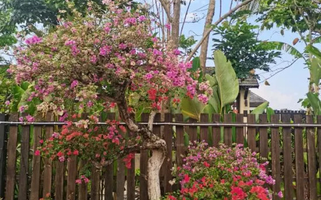 Xiangyishu Resort Villa