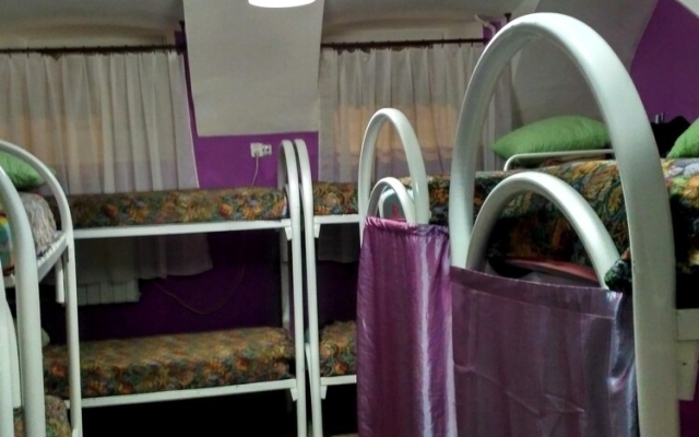 JUNGLE Lodging Houses