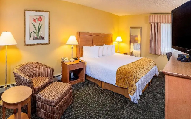 Best Western Plus Inn & Suites