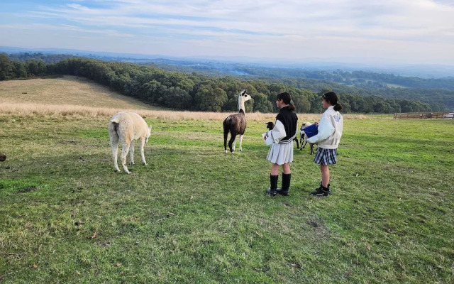 Valley Views BNB
