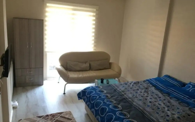 Black and White House