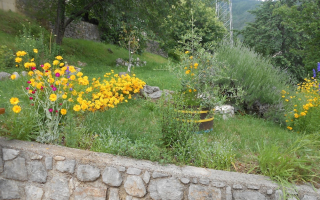 Apartments Vesna