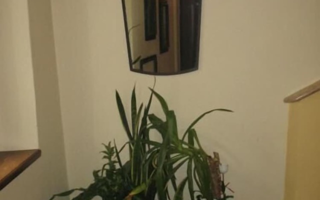 A Casa di Andrea Bed & Breakfast