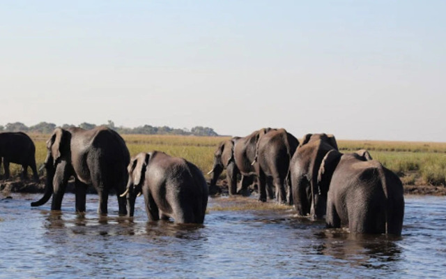 Sandpiper Villas Chobe