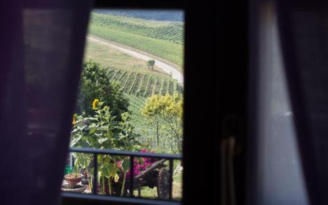 Agriturismo La Cà Veja