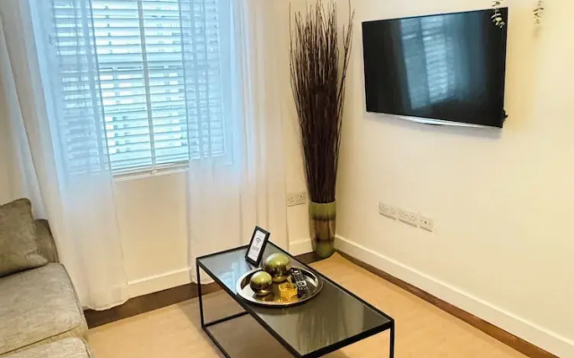 Comfortable One Bedroom Apartment London