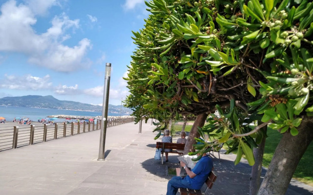 Vista sul carruggio, centro storico di Chiavari