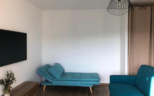 Spacieux studio entièrement rénové