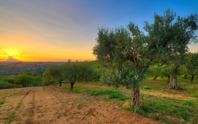 B&B la casa del vino