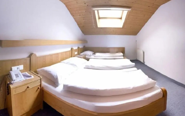 Pension Traube