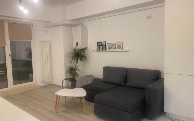 Maia Minimalist Studio