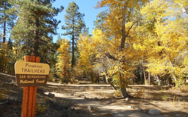 Smokey Bear's Den