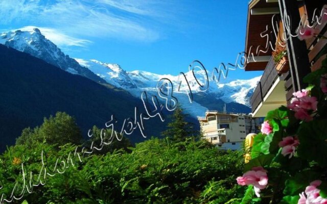 Top 4810 Mont-Blanc