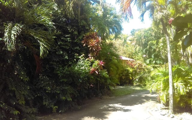 Property With One Bedroom In Pointe Noire With Enclosed Garden And Wifi 900 M From The Beach