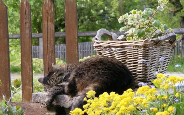 Wanderpension Wimbachklamm
