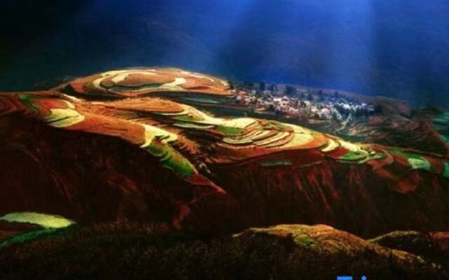 Red Land Wangcai Resort