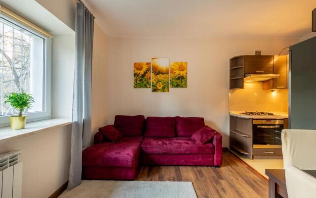 Sunflower Apartment City Center