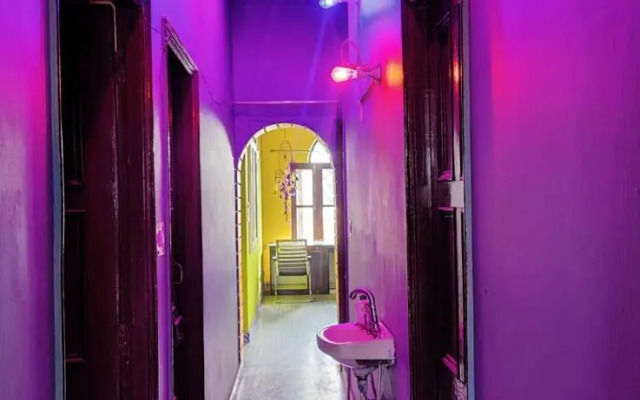 Startup House