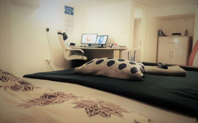Pety Accommodation