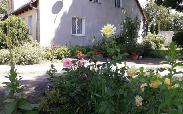 Apartamenty Stajni Jazon Malbork