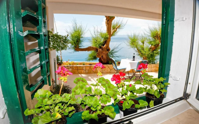 Studio Apartman Papić