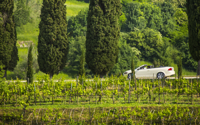 Villa Palazzo Angelica