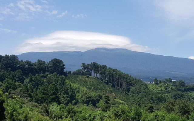 Dreaming Forest Pension