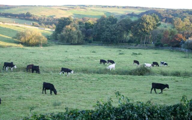 The Cottage Abbotsbury