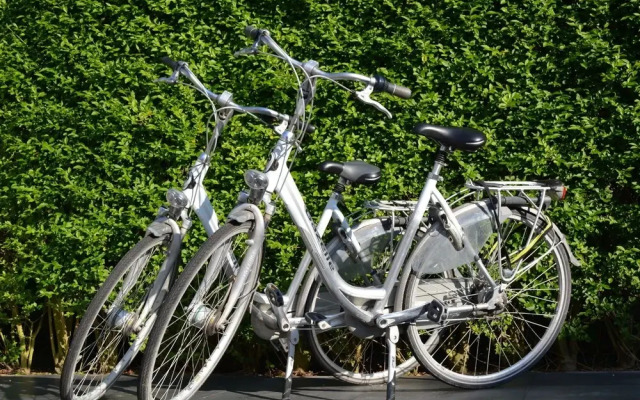 Wonderful and Spacious Apartment