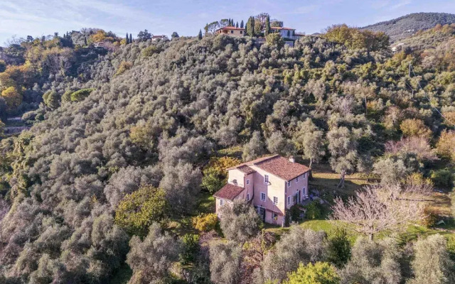 La Casa Dei Limoni