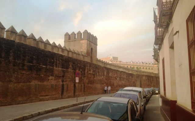 Deluxe apartment Arco de la Macarena