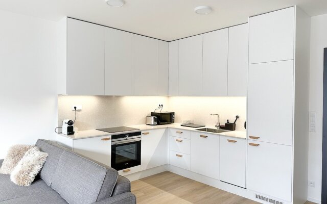 Charming Holesovice Apartment