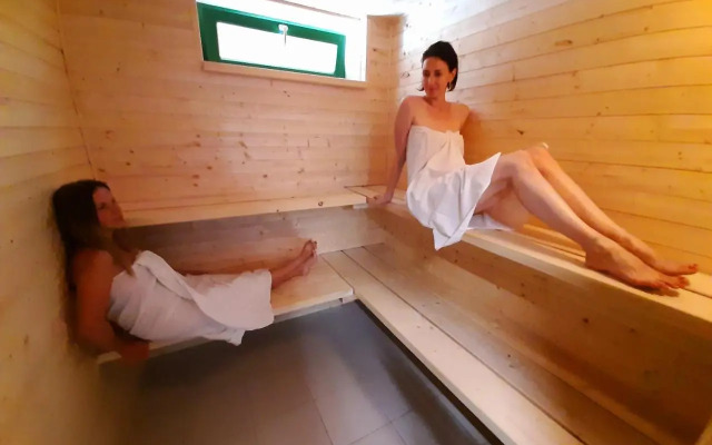 Zelený Jelen - horský apartmán