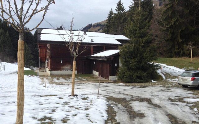 Gstaad - Great Luxurious Farmhouse