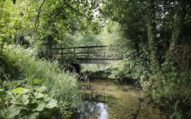 Barton's Mill