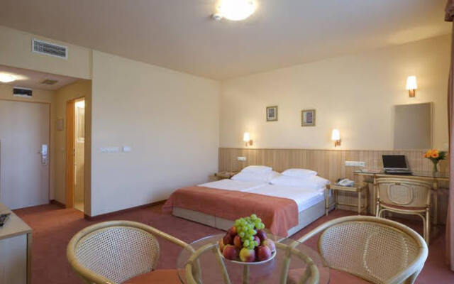 Termalhotel Martfu