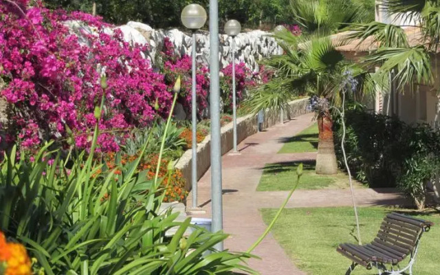 Oasis de La Cala