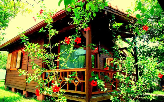 Baraka House