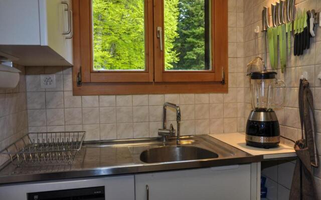 Chalet en pleine nature avec Spa