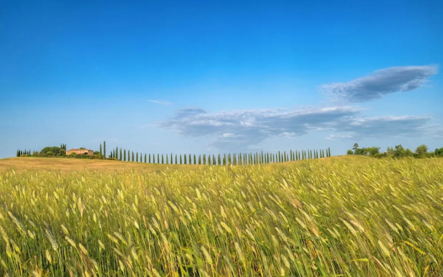 Agriturismo Le Sorbelle D'Orcia