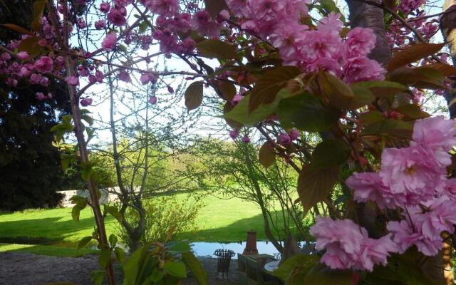 B&B BLoom