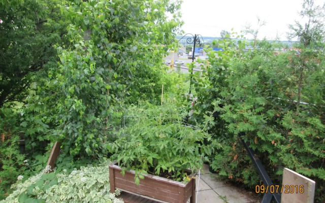 Patala - Hébergement