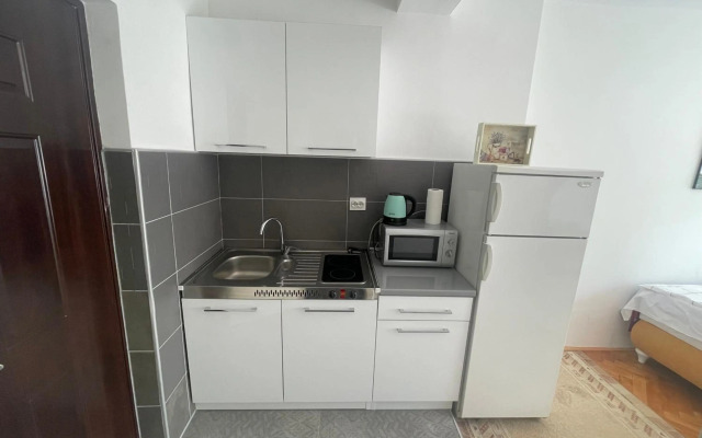 Studio Apartman Centar