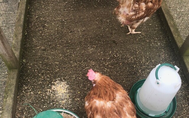 Home Farm